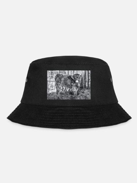 Hochlandrind - Bucket Hat - Schwarz