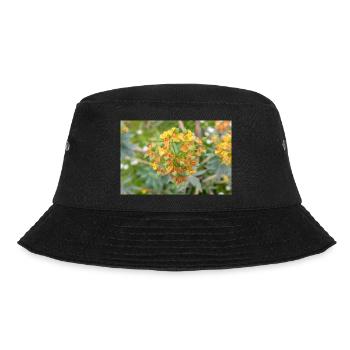 blühende bunte Wolfsmilch (Euphorbia) Blume - Bucket Hat - Schwarz - Vorne - Lela (165cm)