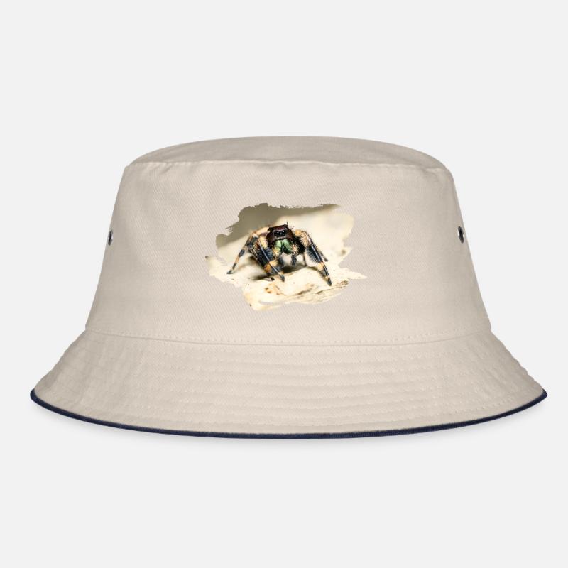 phidippus otiosus jumping spider, spring spinne Bucket Hat