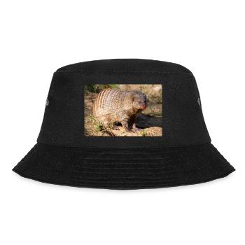 Gebänderte Manguste oder Zebramanguste Zebramanguste - Bucket Hat - Schwarz - Vorne - Lela (165cm)