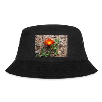 plante de glace rampante rustique carpe rose de glace - Bob - noir - Devant - Lela (165cm)