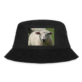 Gros plan d’un mouton - Bob - noir - Devant - Lela (165cm)