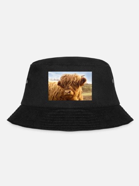 Petite vache, veau brun regarde la caméra - Bob - noir