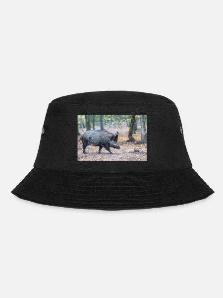 Sanglier (en allemand sanglier) Sus scrofa - Bob - noir