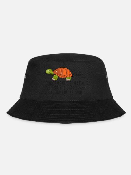 tortue dessin doucement matin vite ralenti citatio - Bob - noir