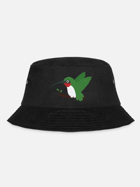 colibri - Bob - noir