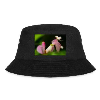 Pink Hymenopus coronatus nymphe - Bucket Hat - black - Front - Lela (165cm)