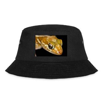 Paroedura picta - Madagasar ground gecko - Bucket Hat - Schwarz - Vorne - Lela (165cm)