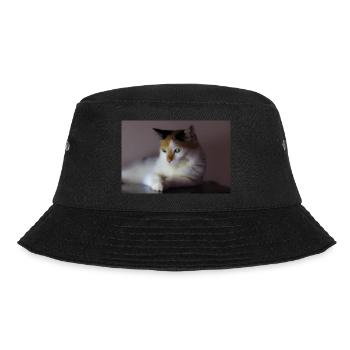 le chat au doux regard - Bob - noir - Devant - Lela (165cm)