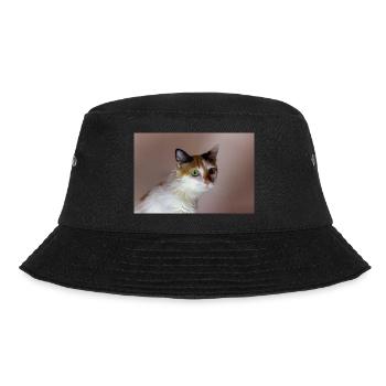 le chat au doux regard - Bob - noir - Devant - Lela (165cm)