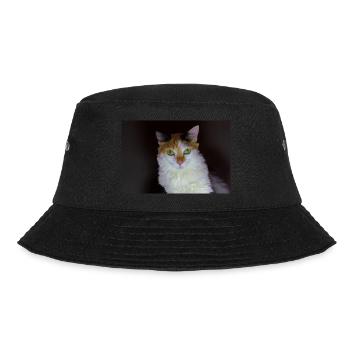 le chat au doux regard - Bob - noir - Devant - Lela (165cm)
