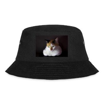 Nina le chat - Bob - noir - Devant - Lela (165cm)