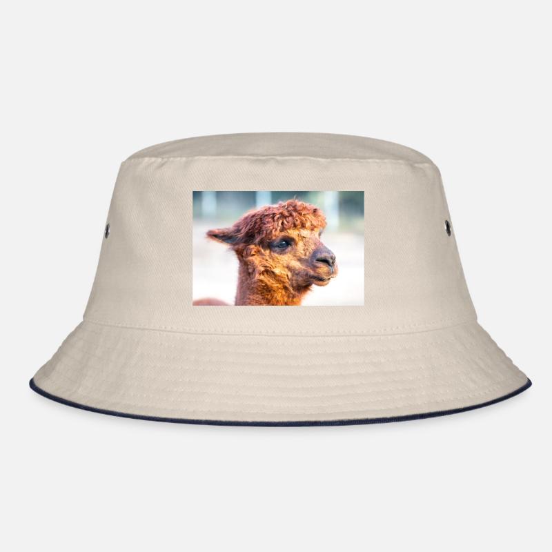 Alpaka Vicugna pacos Bucket Hat