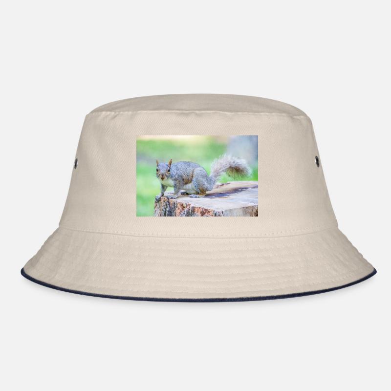 Grauhörnchen Sciurus carolinensis Bucket Hat