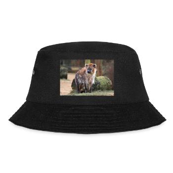 hyena or hyaena or harpy (in german Hyäne) Hyaenid - Bucket Hat - black - Front - Lela (165cm)