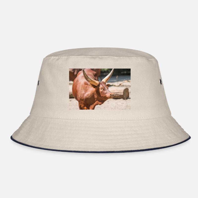 Ankole-Watusi oder Ankole Longhorn Watussirind Bucket Hat