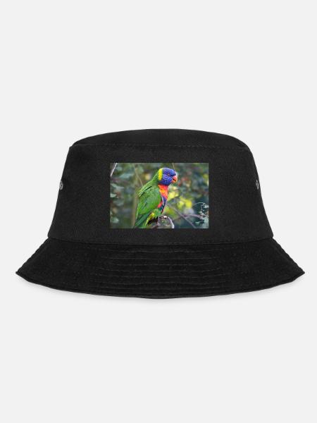 Regenbogenloris (Allfarblori, Trichoglossus) - Bucket Hat - Schwarz
