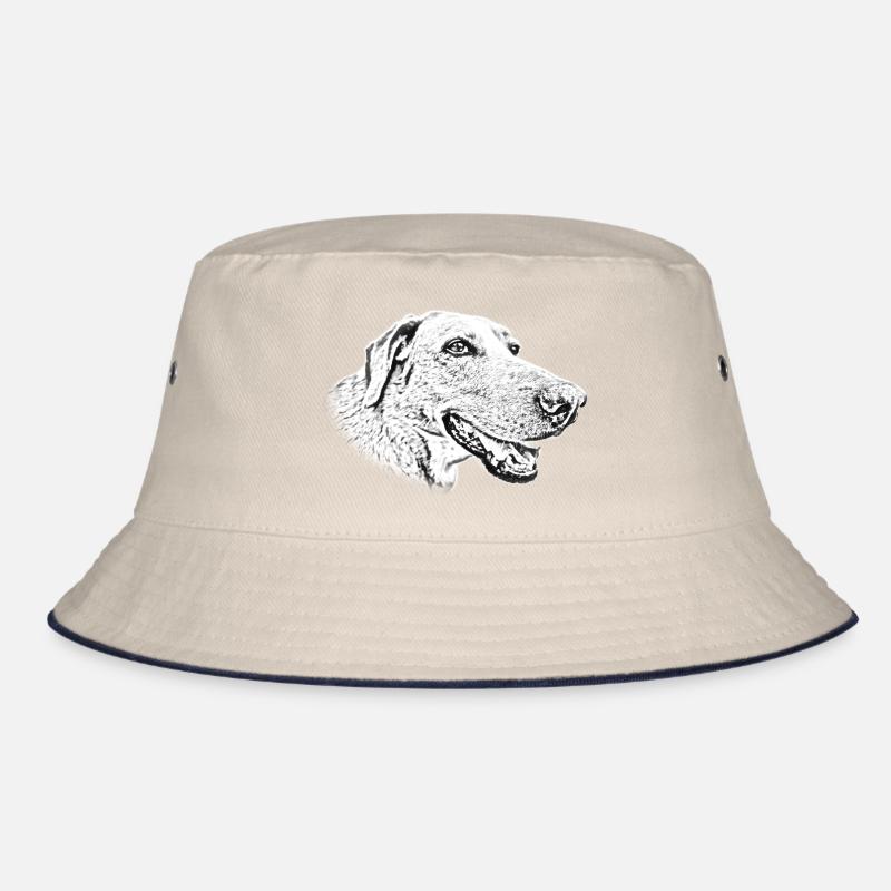Chien heureux Bob
