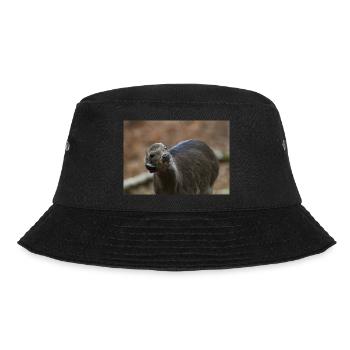 000 3551 NEF - Bucket Hat - black - Front - Lela (165cm)