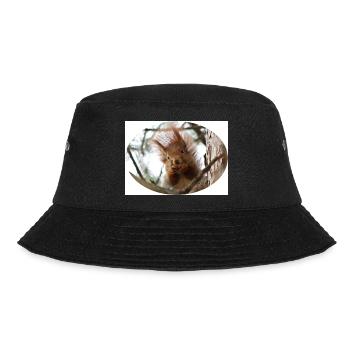 Eichhörnchen, Isibat - Bucket Hat - Schwarz - Vorne - Lela (165cm)