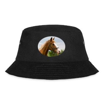 Cheval. Cheval. - Bob - noir - Devant - Lela (165cm)
