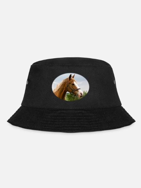 Cheval. Cheval. - Bob - noir
