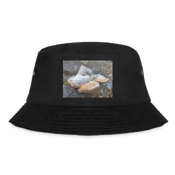 surgeon's agaric also tinder fungus Zunderschwamm - Bucket Hat - black - Front - Lela (165cm)