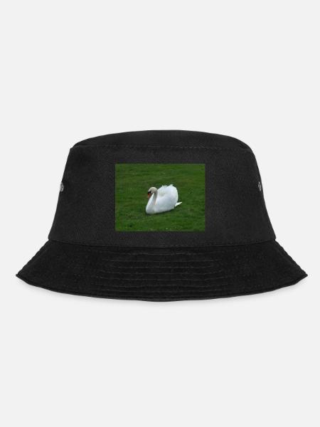 Proud white swan on a green meadow - Bucket Hat - black