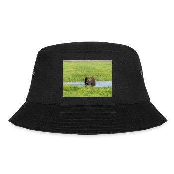 Landscape in Chobe National Park on Sedudu - Bucket Hat - black - Front - Lela (165cm)