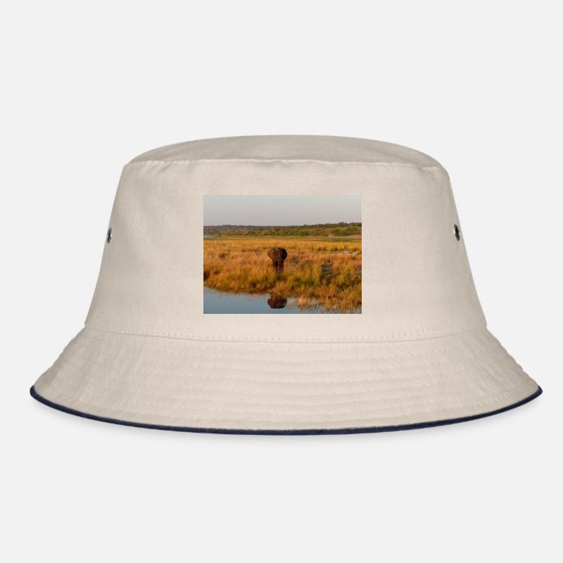 Elefant am Wasser in Namibia Afrika Bucket Hat