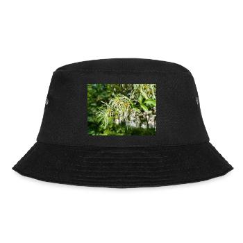 Traveller's Joy Clematis vitalba - Bucket Hat - Schwarz - Vorne - Lela (165cm)
