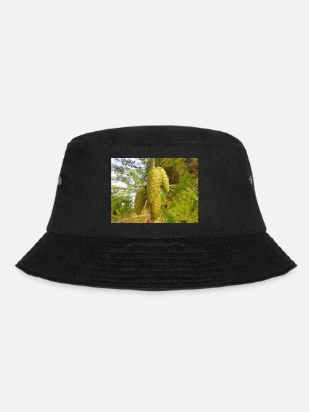Aleppo pine also Jerusalem pine Aleppo-Kiefer - Bucket Hat - black