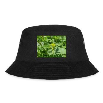 black mustard (in german Schwarzer Senf) Rhamphosp - Bucket Hat - black - Front - Lela (165cm)