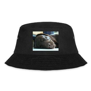 Mein Labrador - Bucket Hat - Schwarz - Vorne - Lela (165cm)