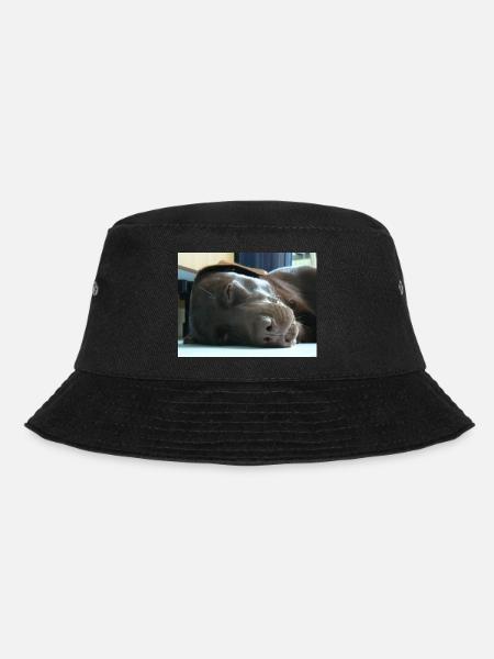 Mein Labrador - Bucket Hat - Schwarz