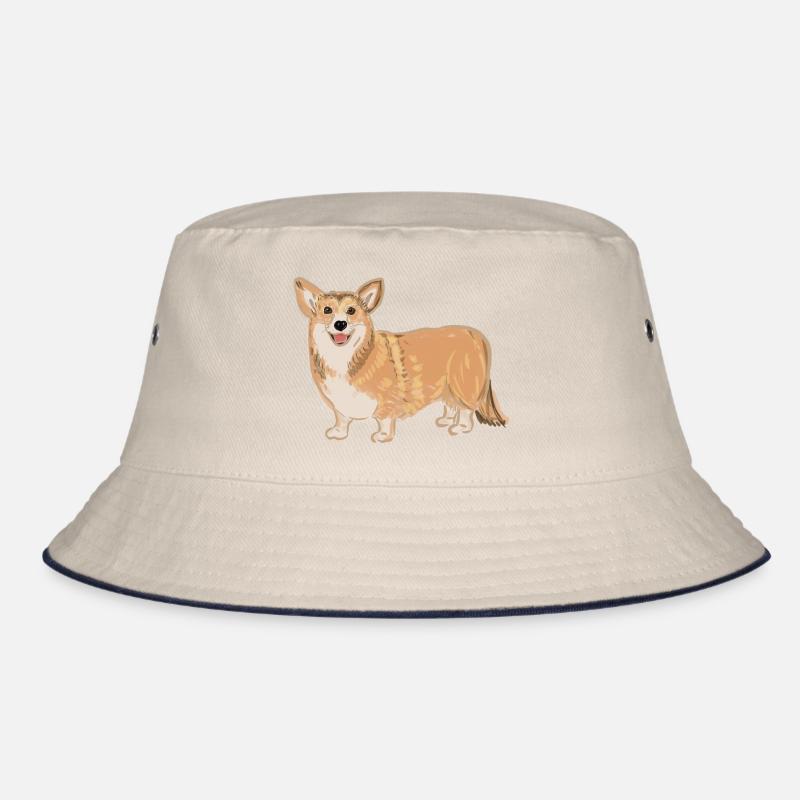 Corgi debout Bob