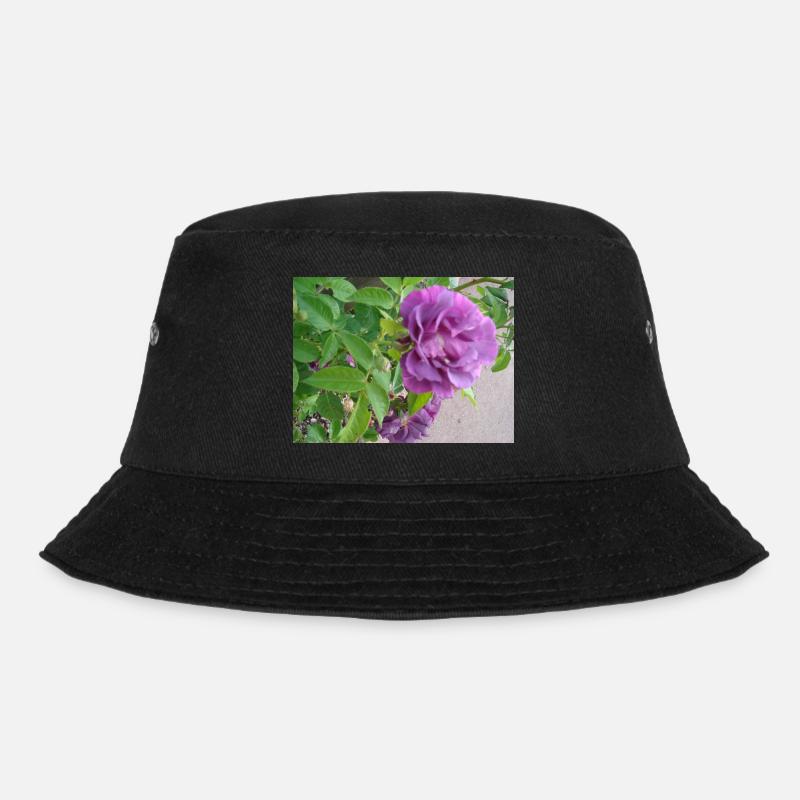 Fleur de rose violette - feuilles vertes - Bob - noir