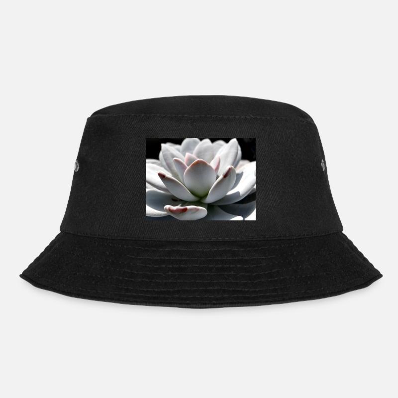 Sukkulente Echeveria - Bucket Hat - Schwarz