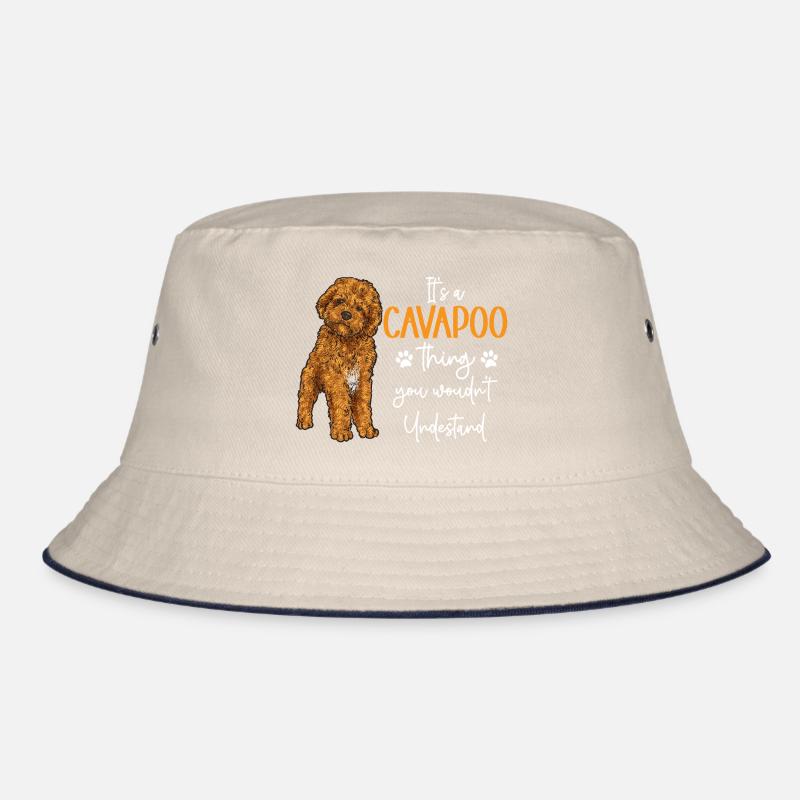Cavapoo Cavoodle Capoodle Chien Bob