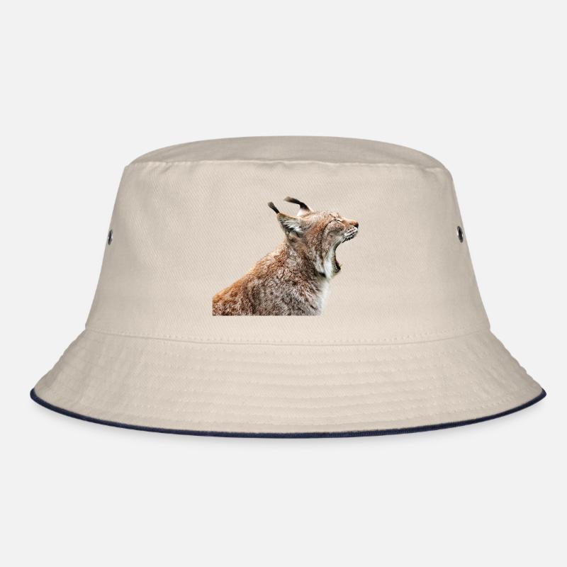 Linx chat chat lynx Bob