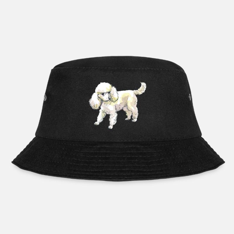 caniche - Bob - noir