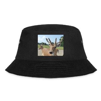 Close up of a Deer - Bucket Hat - black - Front - Lela (165cm)