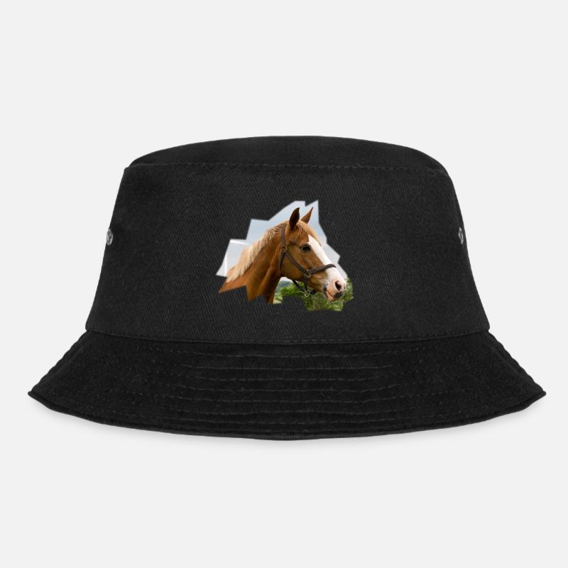 Cheval. Cheval. - Bob - noir