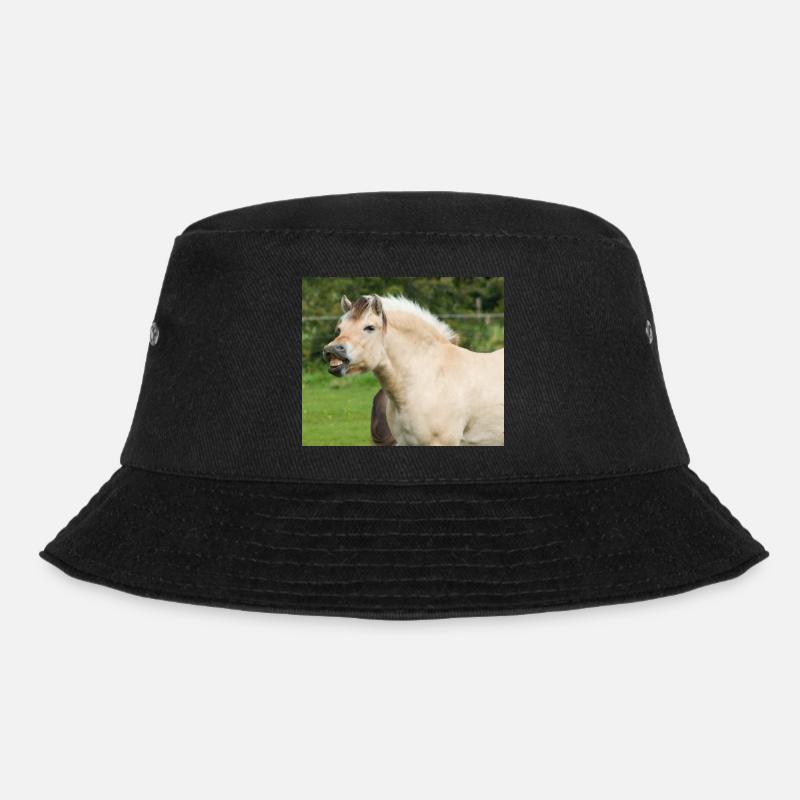 Cheval. Cheval. - Bob - noir