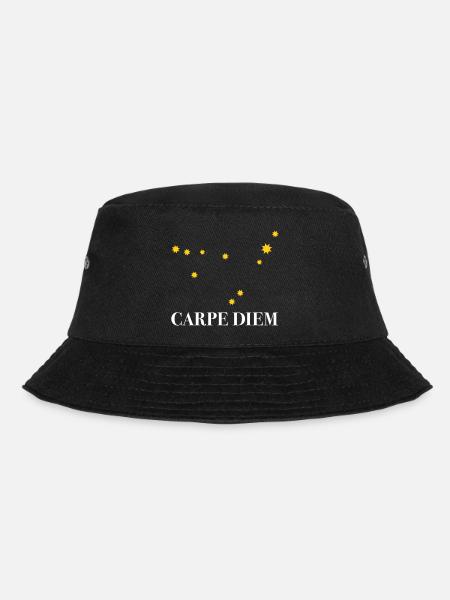 Carpe Diem utilise la constellation du jour Capricorne Deneb - Bob - noir