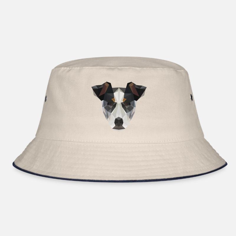 Russell Terrier Bob