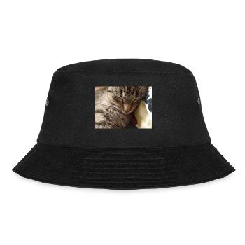 cat, kitten, kitty - Bucket Hat - black - Front - Lela (165cm)