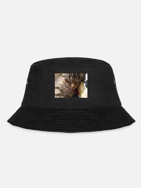 chat, cocur, chatte - Bob - noir