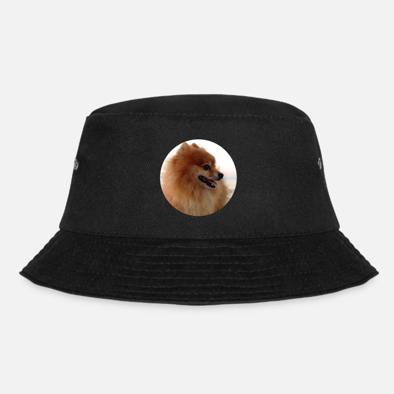 Pomeranian - Bucket Hat - black