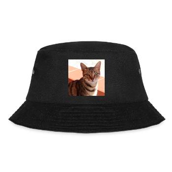 Katze Kätzchen Poster quadratisch Katzenposter - Bucket Hat - Schwarz - Vorne - Lela (165cm)